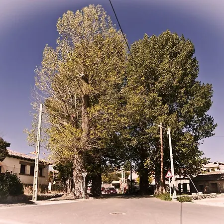 Casa Del Tio Primitivo Navarredonda de Gredos